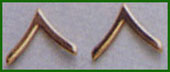 [ Private Military Polished Gold Rank Insignia ]