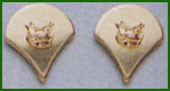 [ Spec-4 Polish Gold Rank Emblems ]
