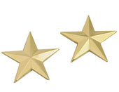 [ General's Stars Military Insignia Polished Gold ]