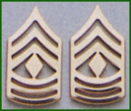 First Sergeant Polished Gold Rank Emblems