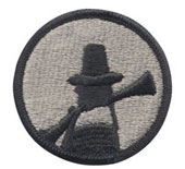 USA Reserve 94Th Command Patch