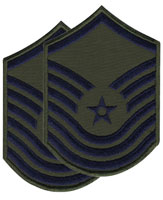 Air Force Senior Master Sergeant Subdued Large