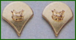 Spec-4 Polish Gold Rank Emblems