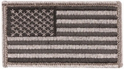 American Flag Patch In Foliage Tint