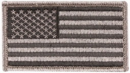 American Flag Patch In Foliage Tint