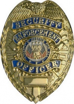 Security Officer Deluxe Gold Badge