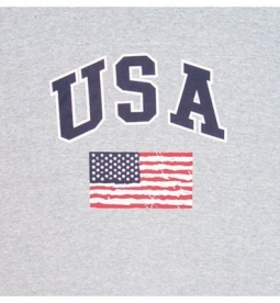 USA T-Shirt USA American Flag Logo Shirt