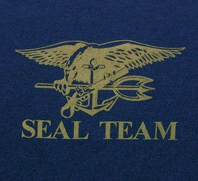 United States Navy Seal Team Shirt Gold/Blue: Army Navy Shop