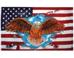 USA Flags American Flag With Bald Eagle 3X5