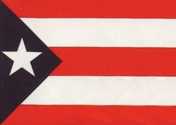 Puerto Rican Flag 3 X 5 Flag Of Puerto Rico