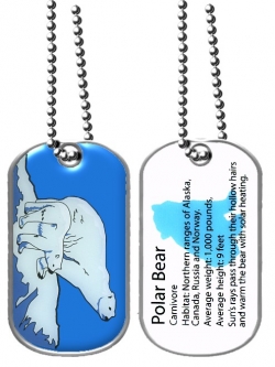 Dog Tag-Polar Bear (Smithsonian)