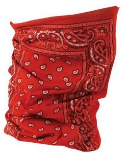 Motley Tube Neck/Head/Face Cover Red Paisley