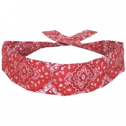 Cooldannas - Red Paisley