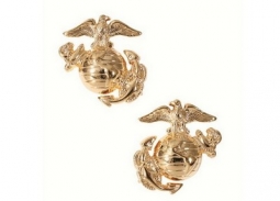 USMC Globe & Anchor Insignia