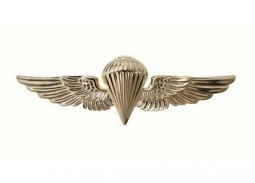 USN/USMC Parawing Pin / Gold