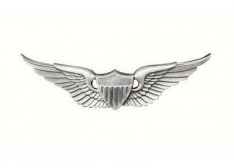 Army Aviator Wing