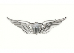 Army Aviator Wing