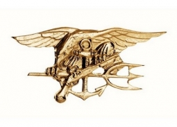 Us Navy Seals Pin / Gold
